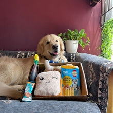 Load image into Gallery viewer, Pawful Giftbox - 5 in 1 with Squeaky Toys and Treats
