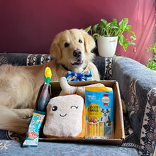 Load image into Gallery viewer, Pawful Giftbox - 5 in 1 with Squeaky Toys and Treats
