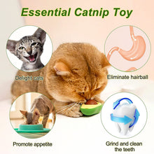 Load image into Gallery viewer, Avacado Catnip Toy for Cats
